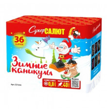 Зимние каникулы (0.8"х36)